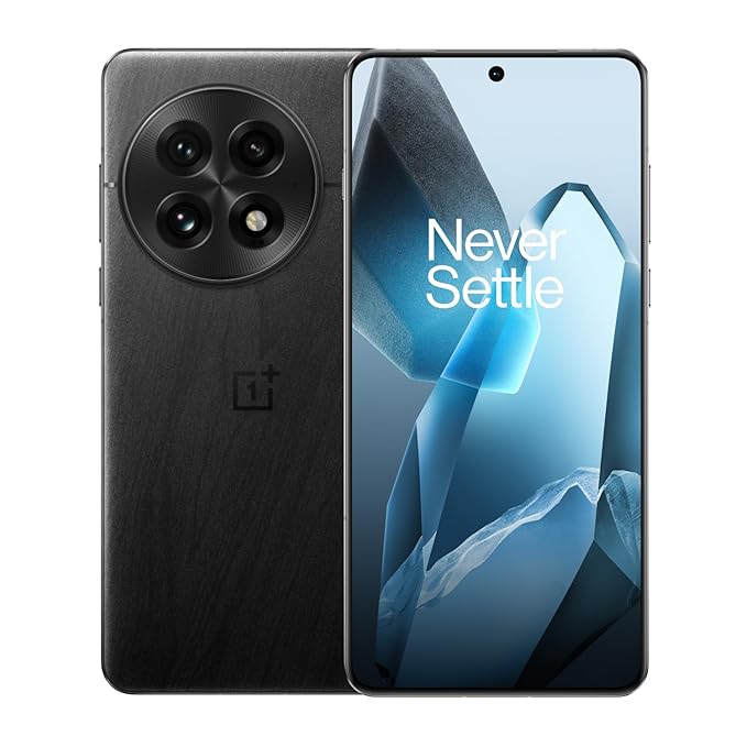 OnePlus 13: